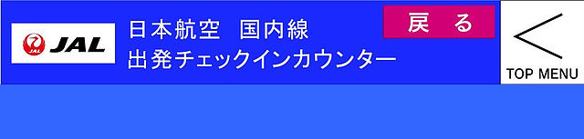 JAL下.jpg