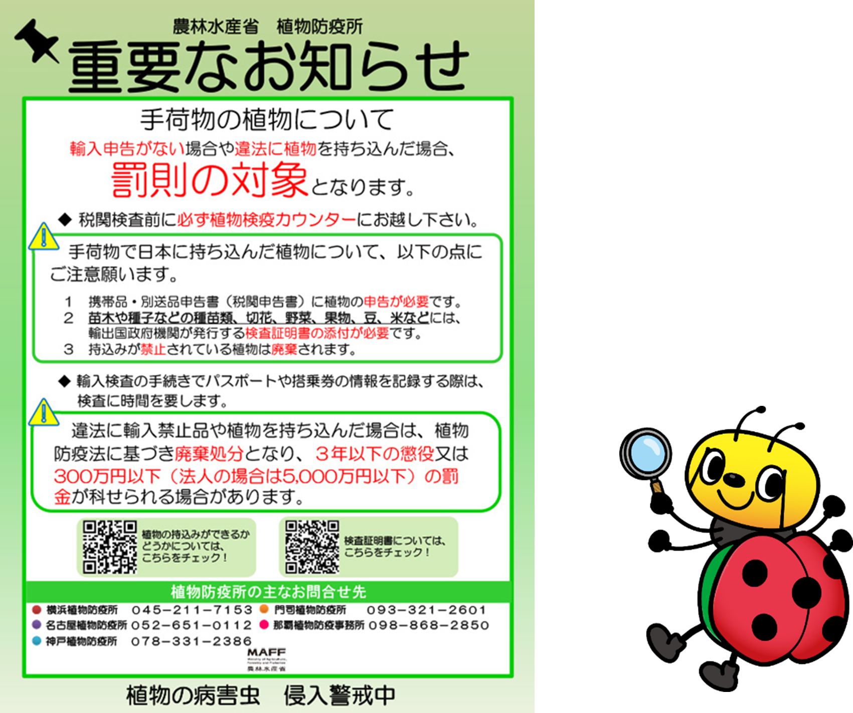 ぴーきゅんセット.png