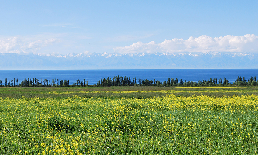 ワールド航空サービス札幌支店