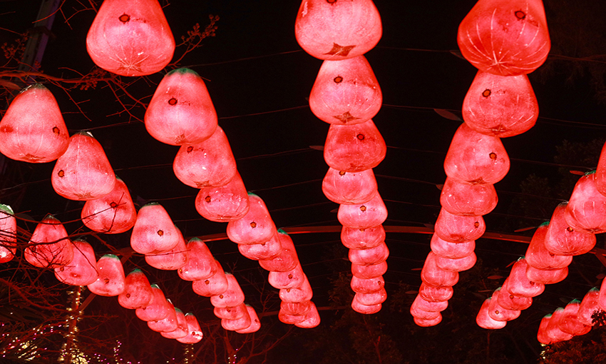 道新観光　株式会社道新サービスセンター