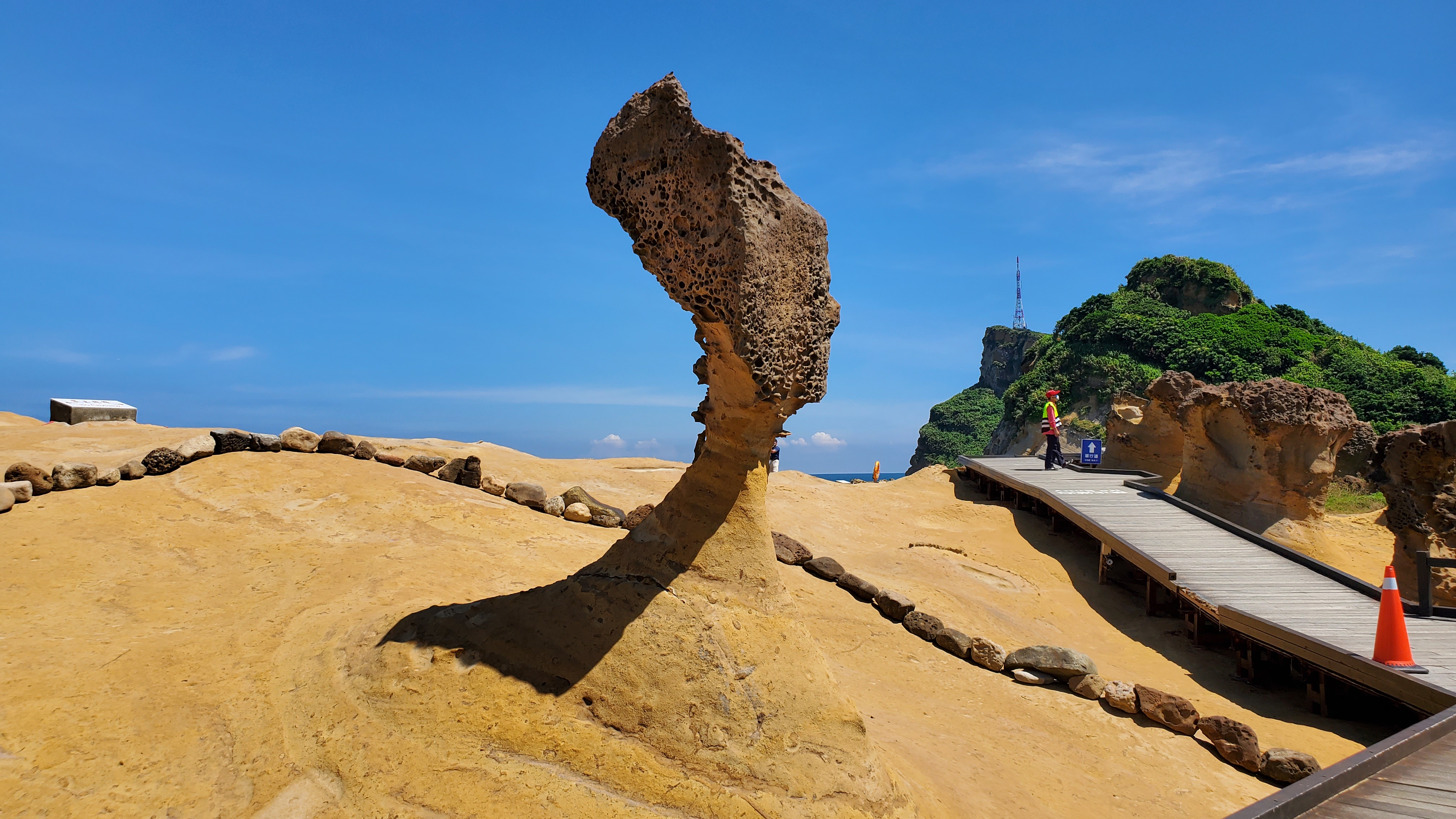 読売旅行