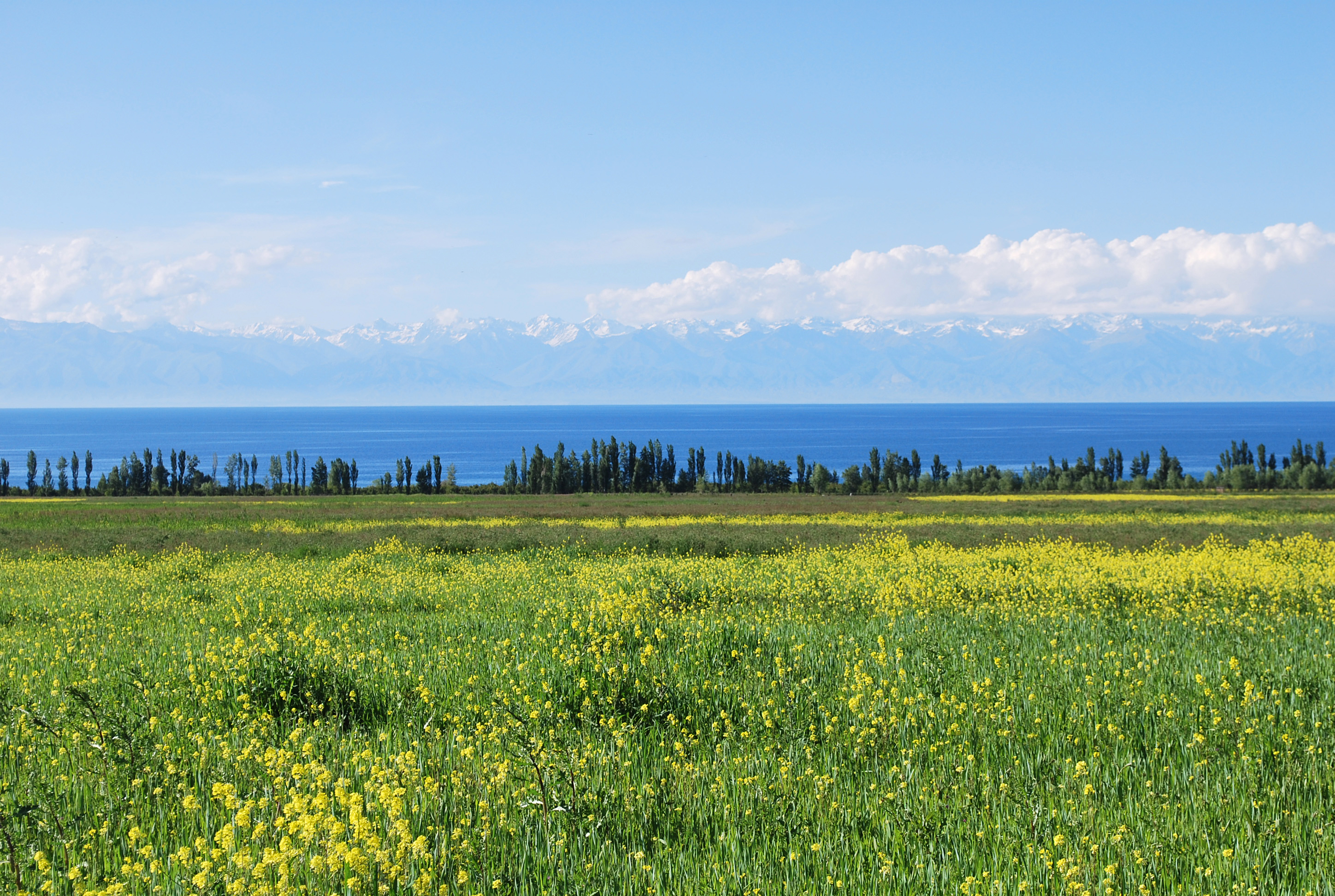 ワールド航空サービス札幌支店