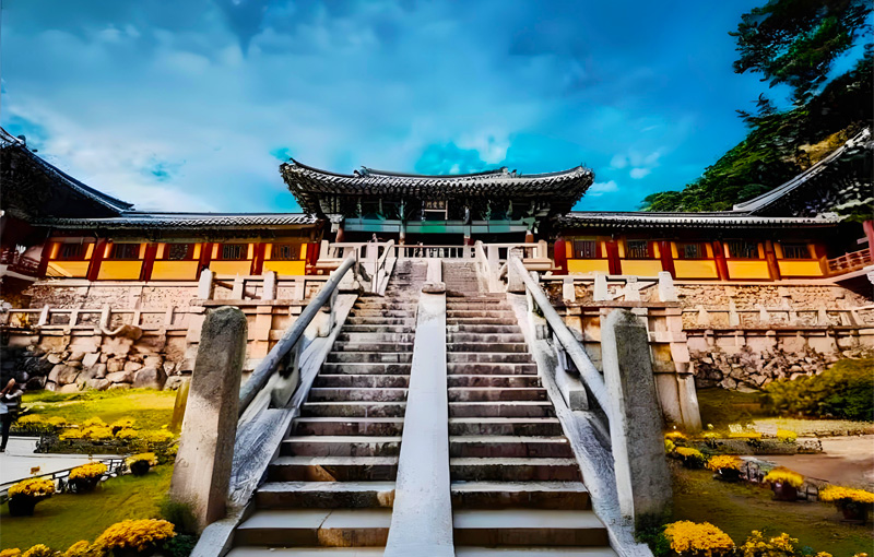 コープトラベル