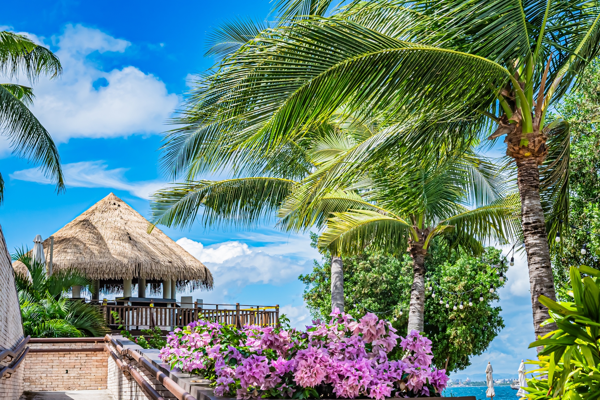 HBCビジョン　HBCトラベル