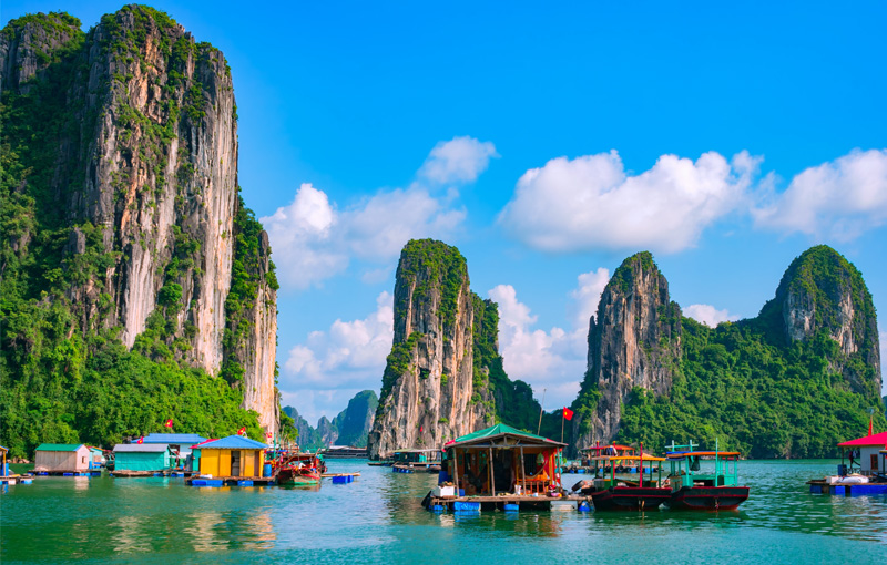 コープトラベル