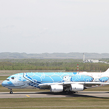 慣熟飛行で降り立ったフライングホヌ（ANA機）