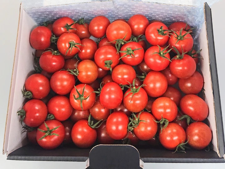 ④HOKKAIDO FRUITS 耕人舎／旬の野菜やフルーツ