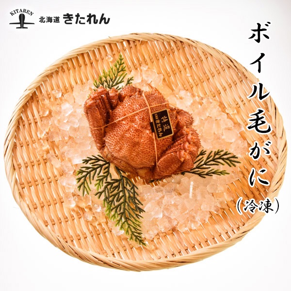 ②北海道きたれん／北海道産 特大ボイル毛がに（冷凍）