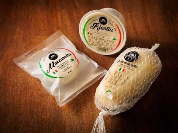 ⑭乳業メーカー直営のチーズ専門店｜チーズ各種