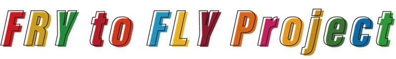 家庭用廃食油回収（Fry to Fly Project）