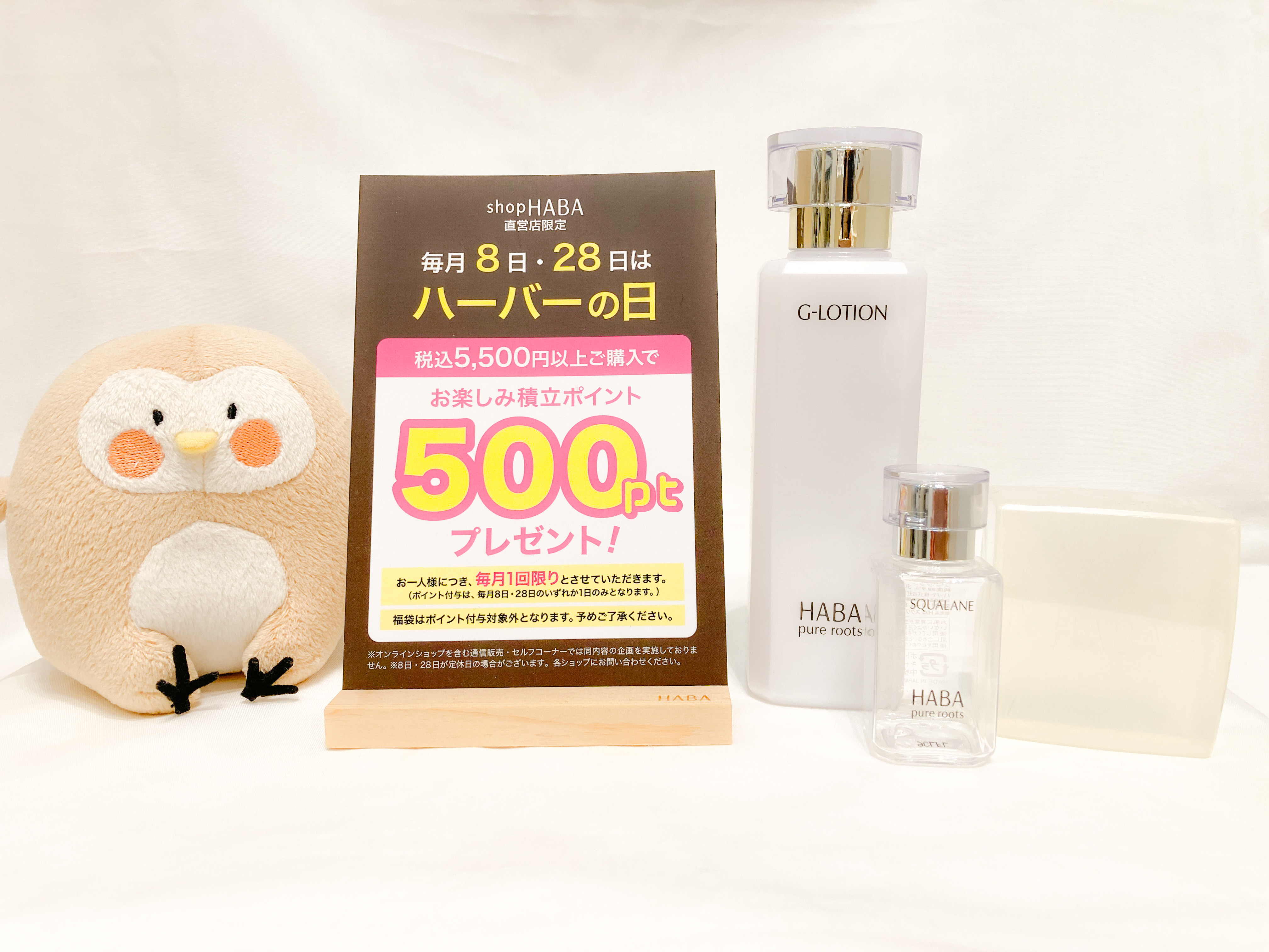 新ハーバーの日 基本のセットFS.jpeg