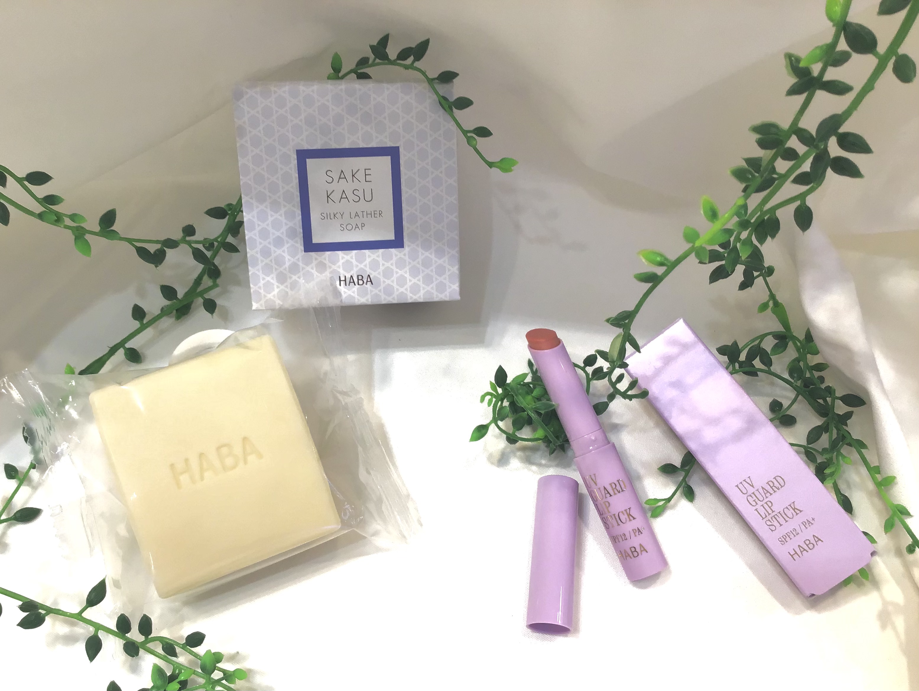 夏キャン2026　 　（￥6,000 ) ②.jpeg