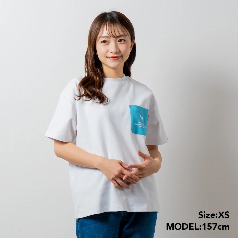 TP-model01-SB.jpg