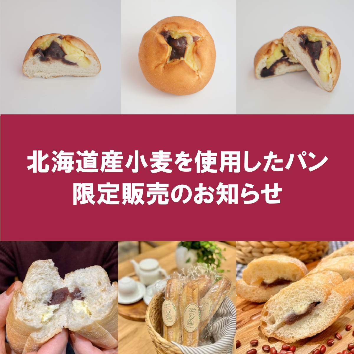 トプ画.png