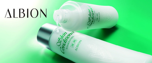 CTS 1000 × 416 Skicon with AL logo.jpg