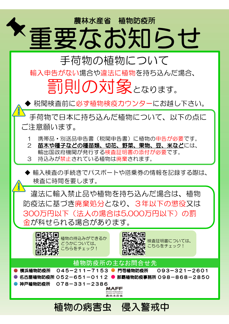 日语.png